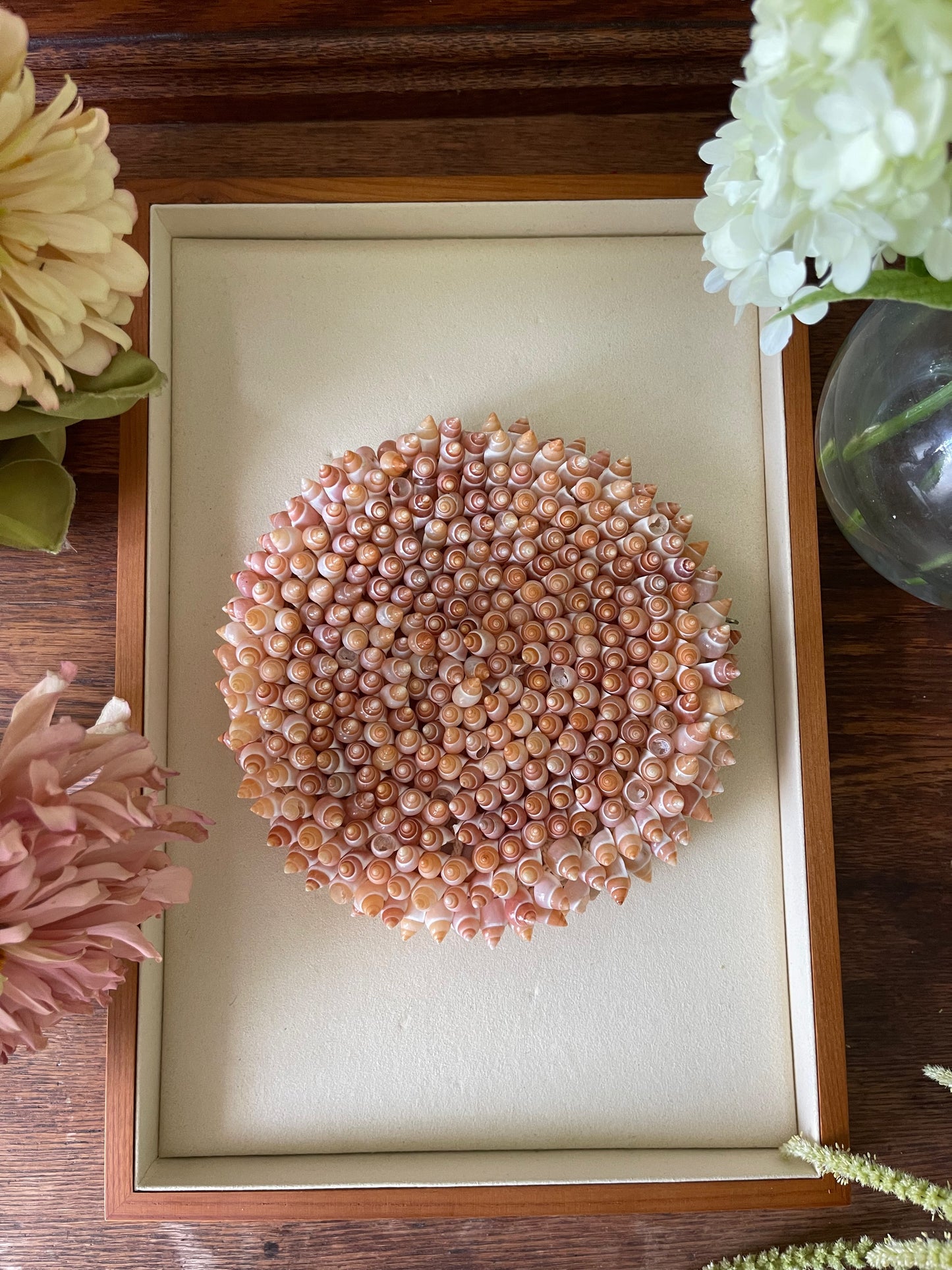 Rare Vintage Natural Shell Clutch