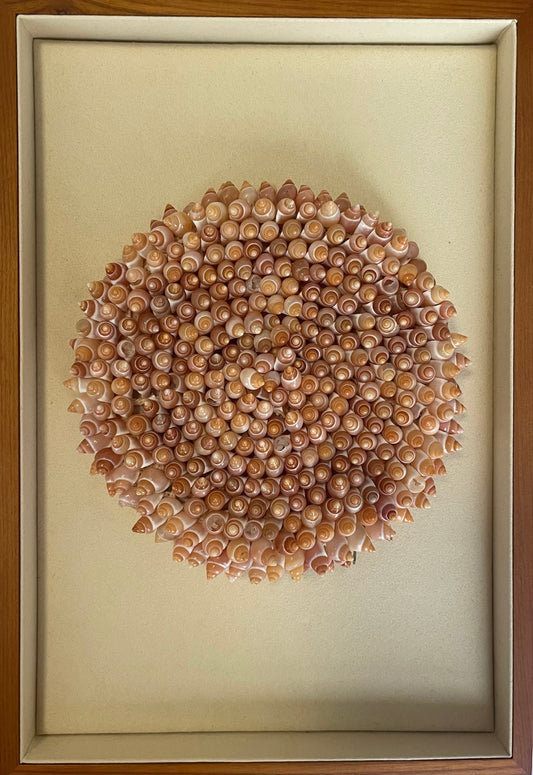 Rare Vintage Natural Shell Clutch